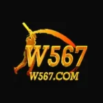 W567 Game