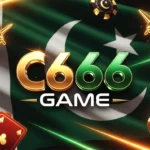 C666