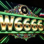 W6666